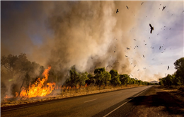 Australia’s bushfires make massive clouds of pollution