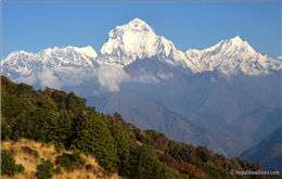 GLOBAL WARMING POSES GRAVE THREAT TO THE HIMALAYAS